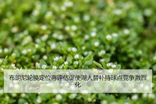 布朗尼轮换定位再评估促使湖人替补持球点竞争激烈化