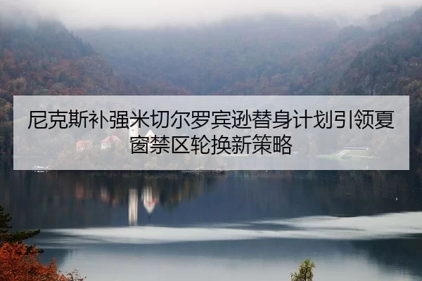 尼克斯补强米切尔罗宾逊替身计划引领夏窗禁区轮换新策略