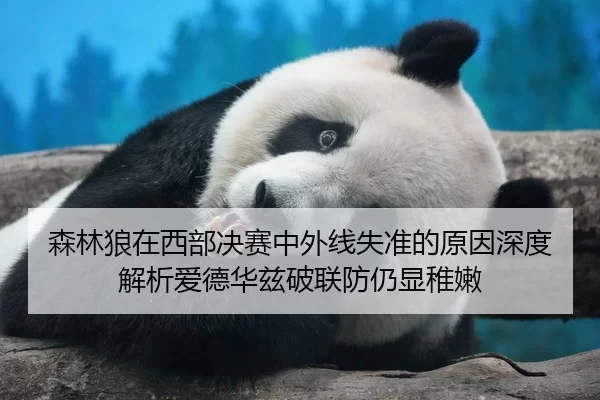 森林狼在西部决赛中外线失准的原因深度解析爱德华兹破联防仍显稚嫩