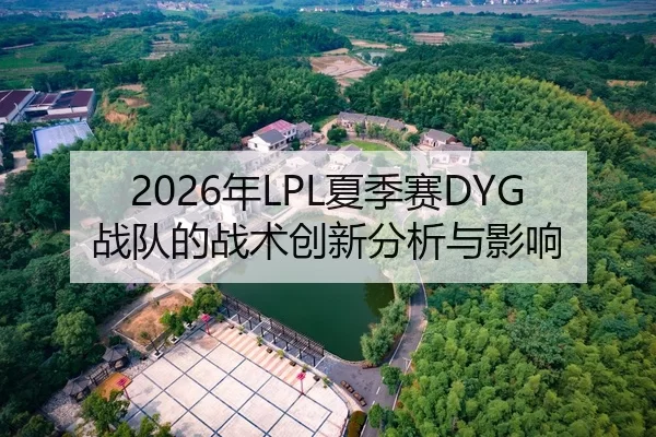 2026年LPL夏季赛DYG战队的战术创新分析与影响