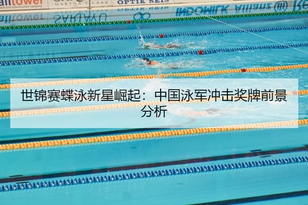 shi-jin-sai-die-yong-xin-xing-jue-qi-zhong-guo-yong-jun-chong-ji-jiang-pai-qian-jing-fen-xi-2-361.jpg