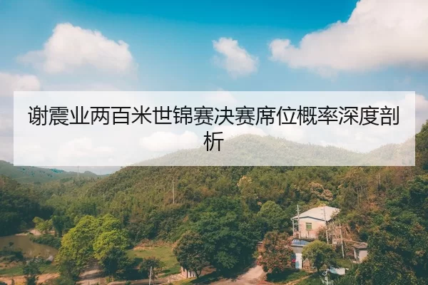 谢震业两百米世锦赛决赛席位概率深度剖析