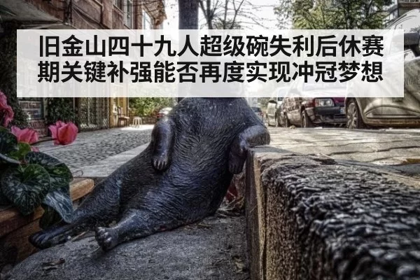 旧金山四十九人超级碗失利后休赛期关键补强能否再度实现冲冠梦想