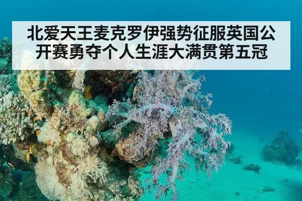 北爱天王麦克罗伊强势征服英国公开赛勇夺个人生涯大满贯第五冠