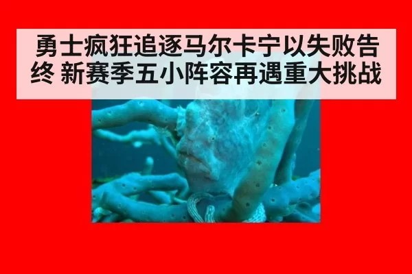 勇士疯狂追逐马尔卡宁以失败告终 新赛季五小阵容再遇重大挑战